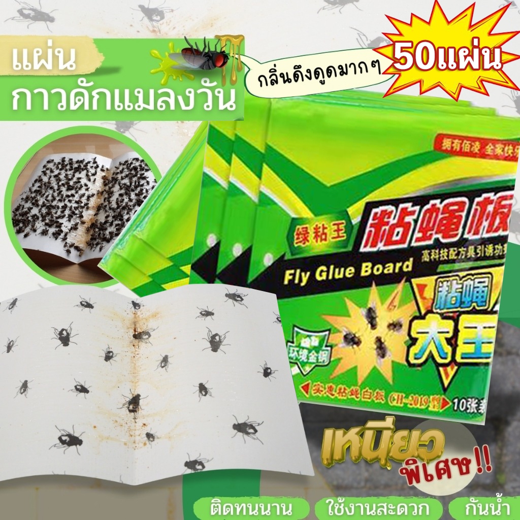 【50 แผ่น】กาวดักแมลงวัน มัดละ ผ่นกาวดักแมลงวัน กาวดักแมลงวัน แผ่นกาวดักแมลงวัน ใช้งานง่ แผ่นดักแมลง