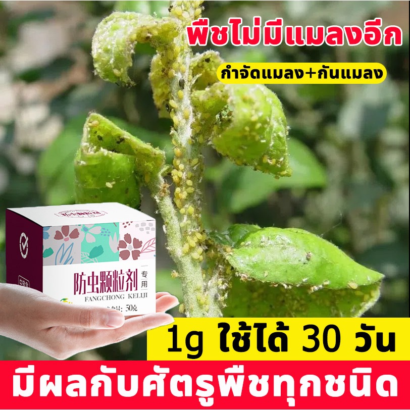 ยาเชื้อราในพืช ยากำจัดเพลี้ย ยากำจัดสัตรูพืช 50g ฆ่าแมลงเท่านั้น ไม่ทำร้ายพืช กำจัดแมลง