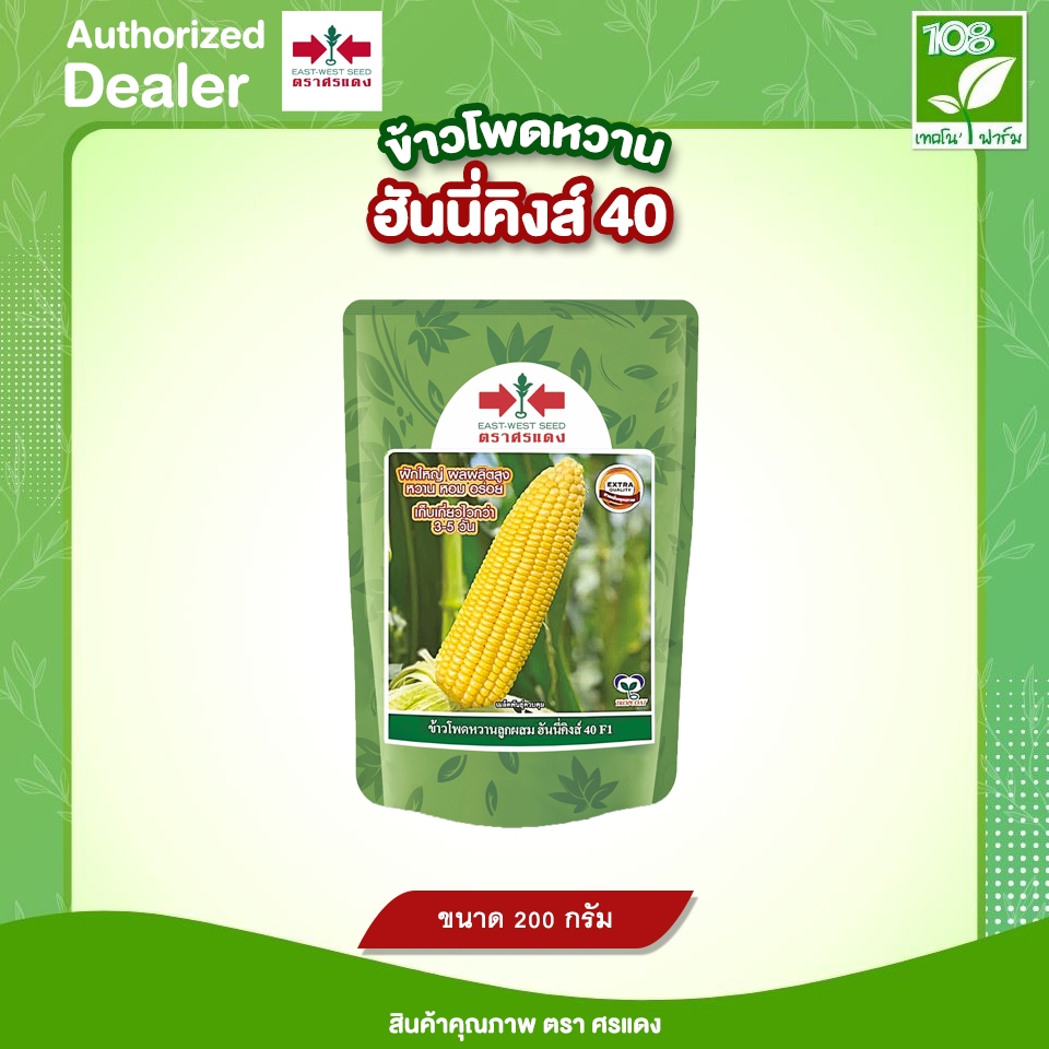 เมล็ดพันธุ์ข้าวโพดหวาน ฮันนี่คิงส์ 40 (200 กรัม / 1 กิโลกรัม)