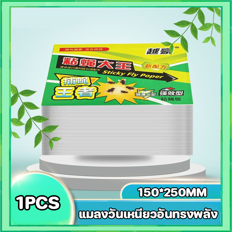 กาวดักแมลงวัน มัดลละ100แผ่น สินค้าพร้อมส่งจากไทย แพ็คเกจอย่างดี