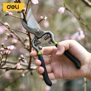 Deli กรรไกรตัดกิ่งไม้ กรรไกรแต่งกิ่ง 8 นิ้ว ตัดแต่งกิ่งไม้ ตัดแต่งใบไม้ ทำสวน Pruning Shears