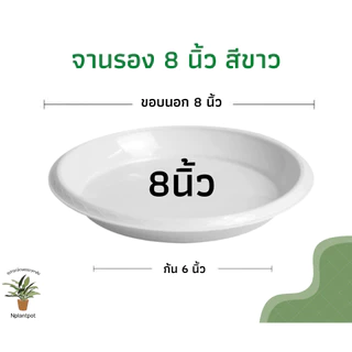 จานรองกระถางต้นไม้ ถาดรองกระถางต้นไม้ จานรองกระถาง จานรองพลาสติก สีขาว 8 นิ้ว 10 นิ้ว 12 นิ้ว 15 นิ้ว 17 นิ้ว