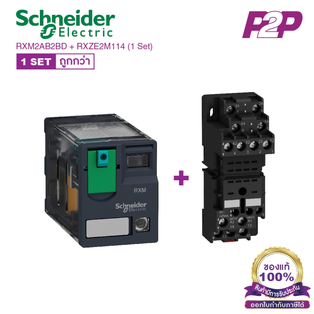 RXM2AB2BD + RXZE2M114 (1 Set) : รีเลย์พร้อมฐานเสียบ 2 คอนแทค 12A 24VDC ไฟ LED แสดงสถานะ - Schneider Relay&Socket by p...