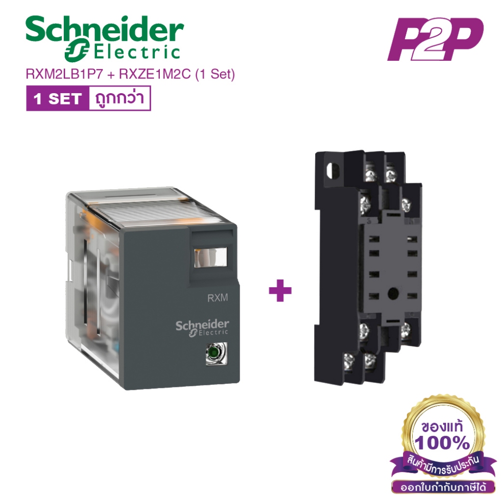 RXM2LB1P7 + RXZE1M2C (1 Set) : รีเลย์พร้อมฐานเสียบ 2 คอนแทค 5A 230VAC - Schneider Relay&Socket by pik2pak.com