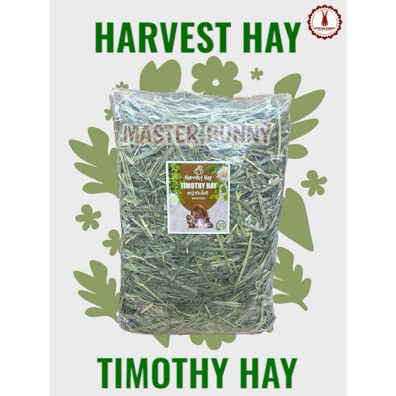 Harvest Timothy Hay 1 kg. หญ้าทิโมธีเกรดพรีเมี่ยม หอม เขียว สดใหม่ พร้อมเสริฟ
