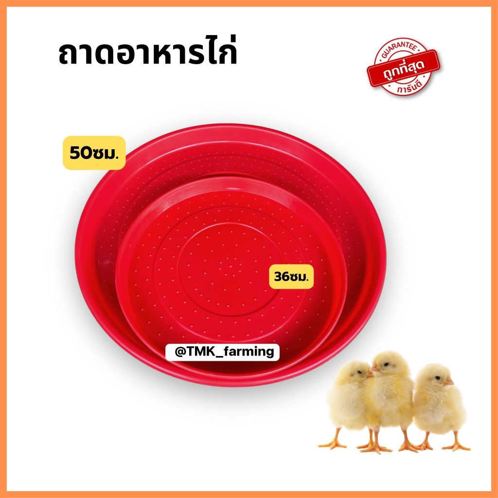 ถาดอาหารลูกไก่ ถาดอาหารไก่ ใช้สำหรับใส่อาหารไก่เล็ก