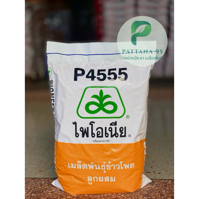 เมล็ดพันธุ์ข้าวโพด ไพโอเนีย P4555 (3.5หุน) *ขนาด 10 กก. ฝักใหญ่ น้ำหนักดี ให้ผลผลิตสูง ปรับตัวได้ดี 