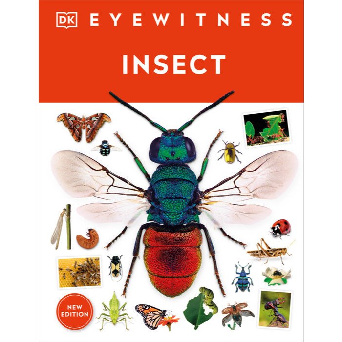 INSECT: EYEWITNESS (9780744081565)