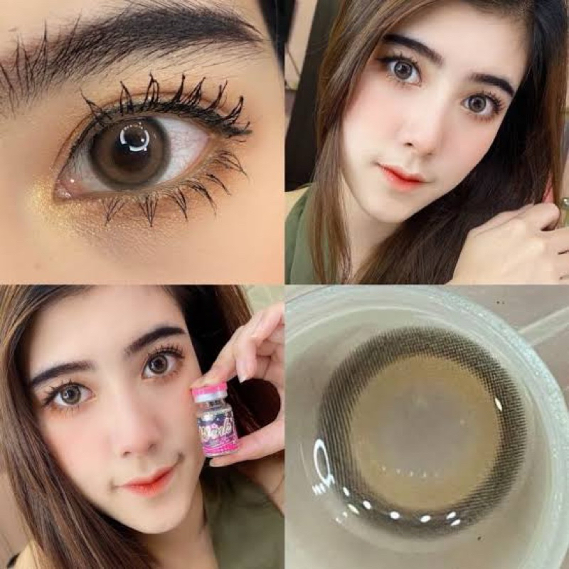 pompam gray pompam brownคอนแทคเลนส์พร้อมส่ง คอนแทคเลนส์สุดฮิต Sweety plus/ Pitchy Lens/Wink/ Pretty doll/ lolipop