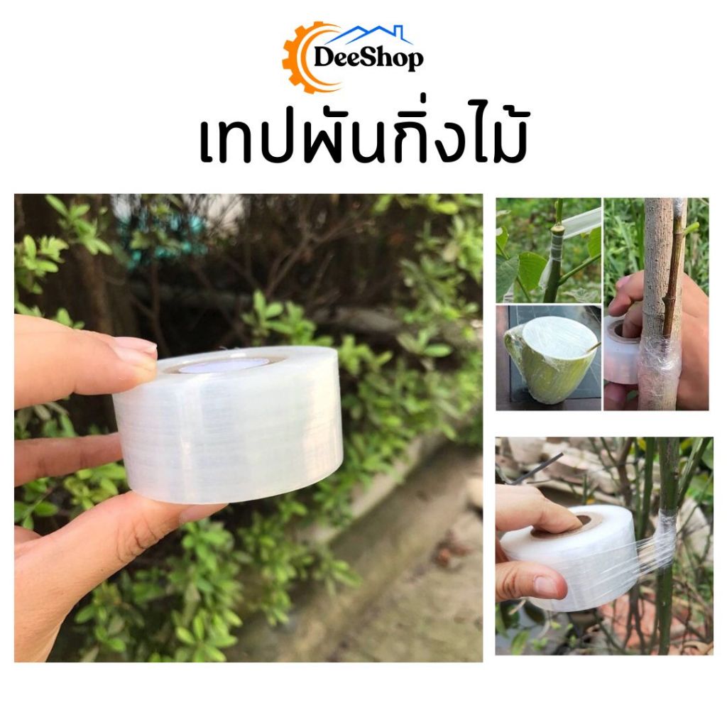เทปพันกิ่งไม้ แลปพลาสติก อุปกรณ์ตอนกิ่ง ผ้าเทปพันกิ่ง เทปใสยาว 200เมตร