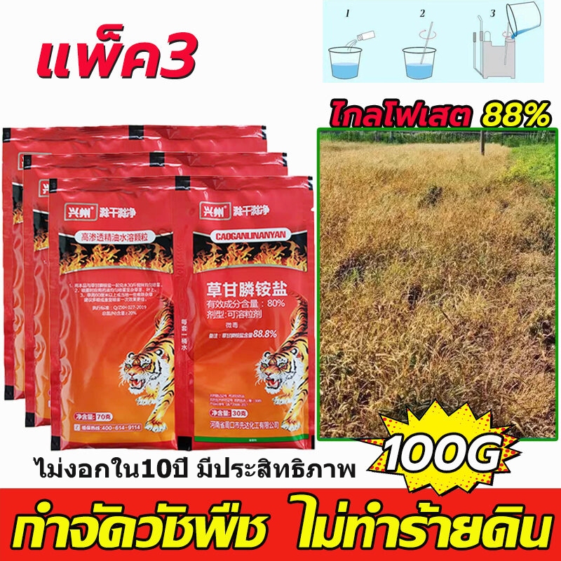 [ซื้อ 2 แถม 1] ผงไข่เน่า เหยื่อกำจัดแมลงวัน ฆ่าแมลงวันขั้นเทพ ใช้ฆ่าแมลงวันบ้าน ตราไก่