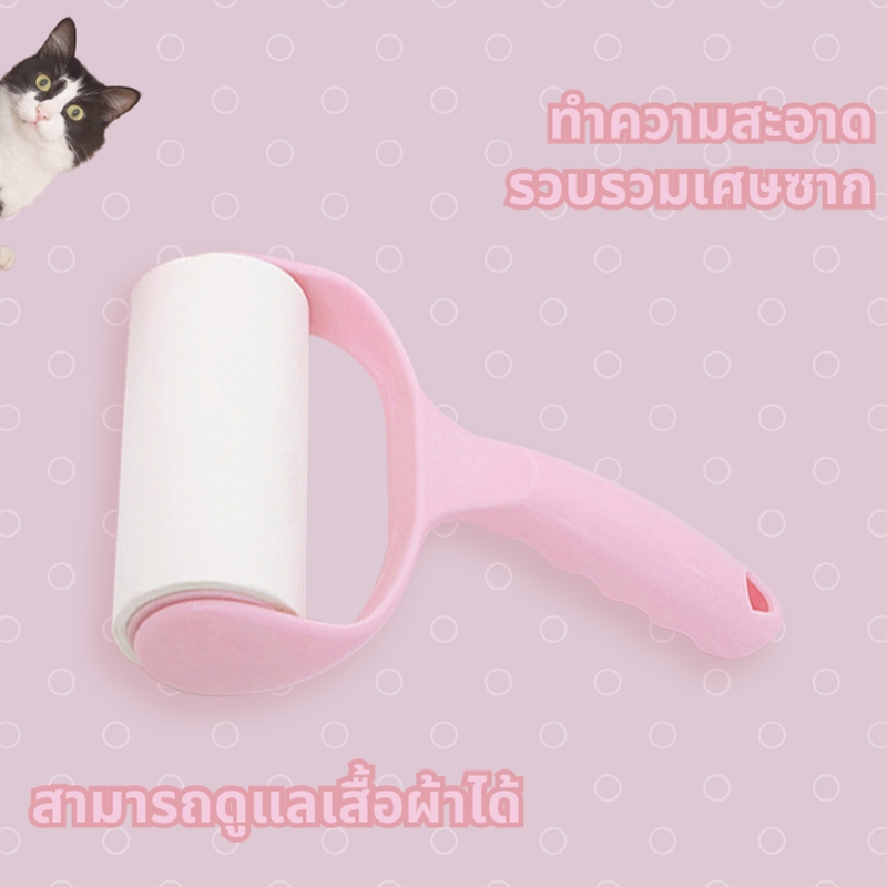 รูปภาพ 8