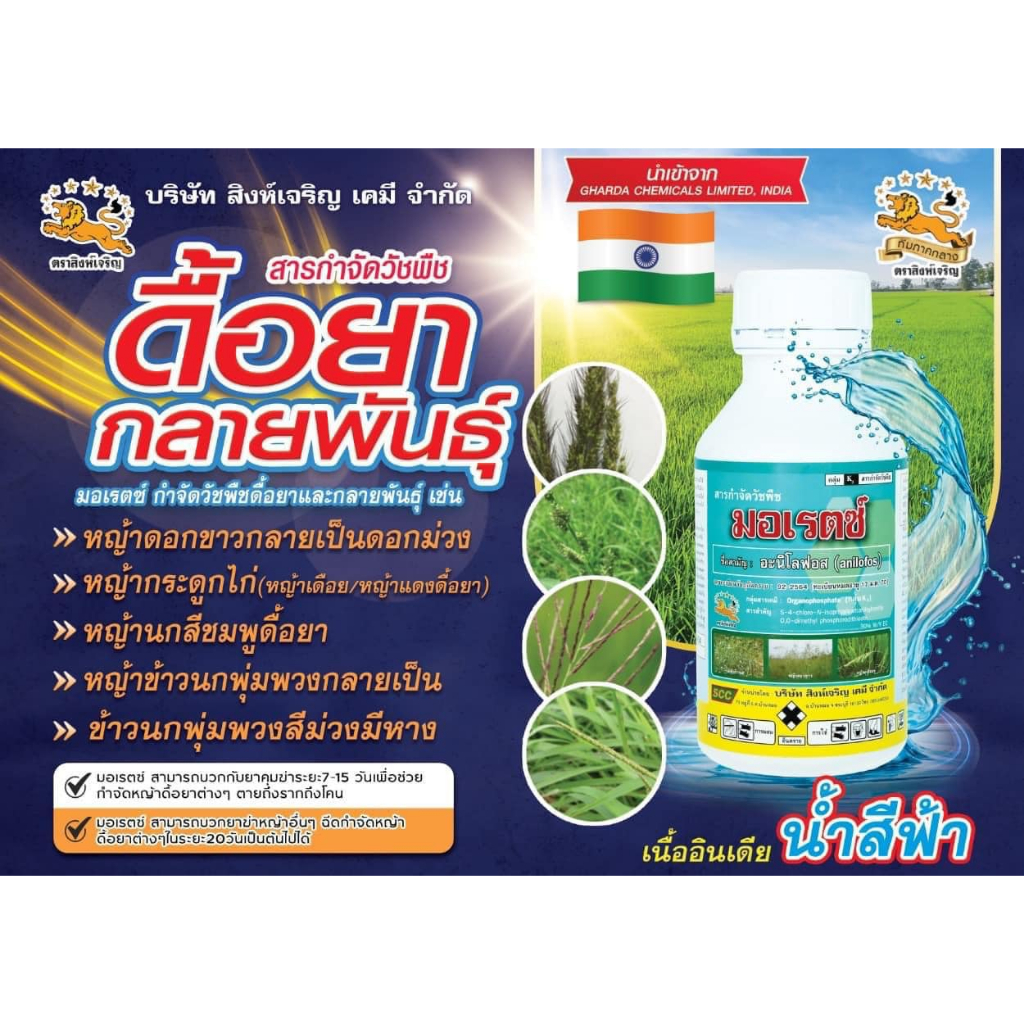 มอเรตซ์ 500 ซีซี อะนิโลฟอส สารกำจัดวัชพืชในนาข้าว ปราบวัชพืชดื้อยา ตายยาก กำจัดวัชพืช ใบแคบ ในนาข้าว ข้าวนก ดอกขาว