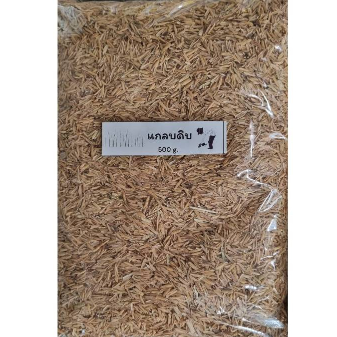 แกลบดิบ 500g. แกลบดิบ สำหรับผสมดิน ทำปุ๋ยหมัก L9T little tree factory  แกลบสำหรับปลูกกุหลาบ