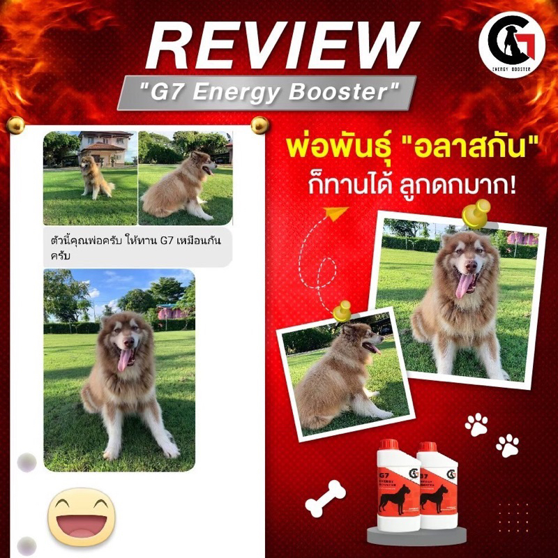 G7 energy booster สำหรับน้องหมา