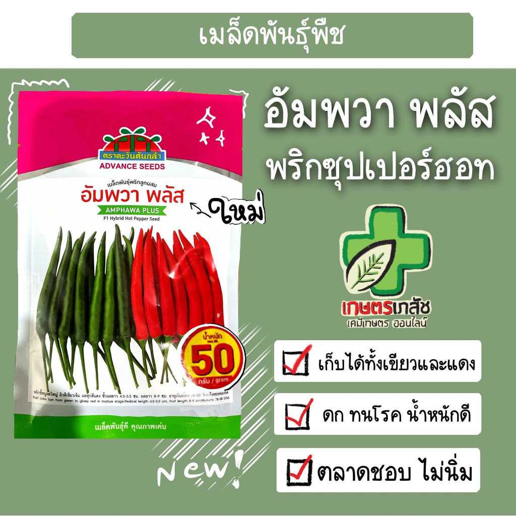 เมล็ดพันธุ์พริกฮอท อัมพวา พลัส 50กรัม