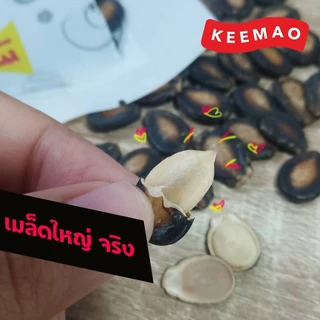 🔥Peeree ตรา พี่รี่ เมล็ดแตงโม(Watermelon Seeds) ขนาด 110 กรัม 🔥 [10 ซอง - 20 ซอง]