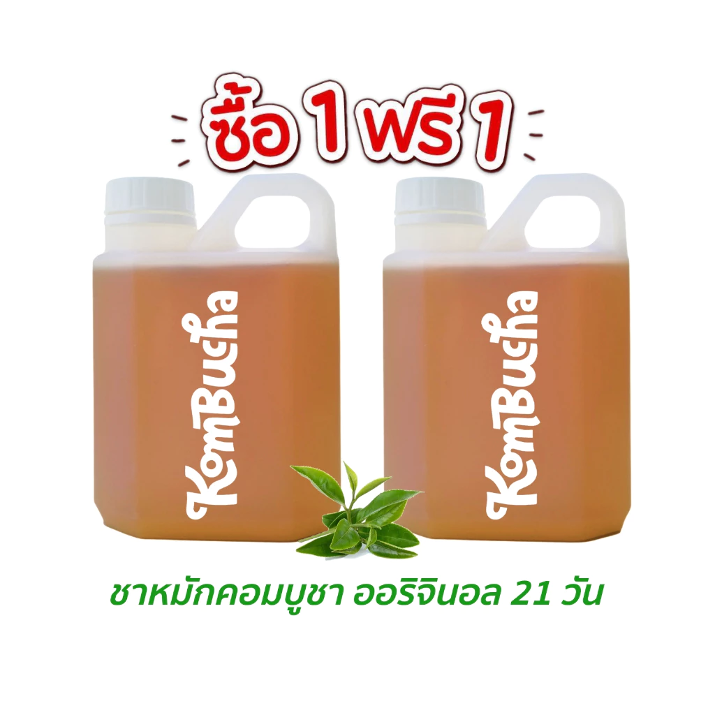 ( ซื้อ 1 แถม 1 ) kombucha คอมบูชา ชาหมักคอมบูชาพร้อมดื่ม แกลอน 500 ml. x 2 แกลอน มีให้เลือก 18 รสชาติ โปรโมชั่นสุดคุ้ม