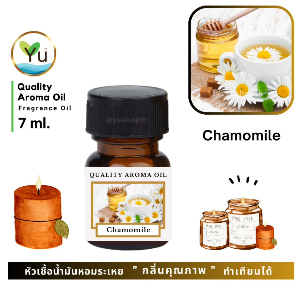 7 ml. กลิ่น Chamomile (ดอกคาโมไมล์) หัวเชื้อน้ำมันหอมระเหย กลิ่นคุณภาพ | Quality Aroma Oil เลือกกล่องได้ !