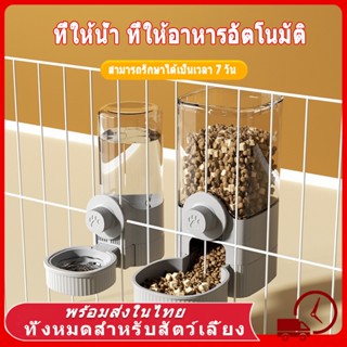 😻🐕ขวดน้ําแมว ที่ให้น้ำ ที่ให้อาหารอัตโนมัติ ชิ้นกรงสัตว์เลี้…