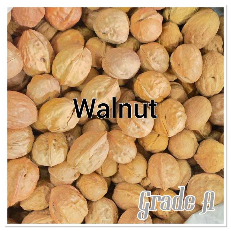 Walnut ถั่ววอลนัท เกรด premuim  สำหรับนก และสัตว์ฟันแทะ ( 500 กรัม/ 1 กก. )