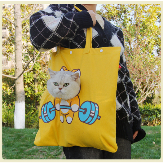PEKO PET&CAT [BG023] กระเป๋าแมวแบบผ้า มีช่องด้านหน้าโผล่หัวได้ ลายสัตว์น่ารัก กระเป๋าสัตว์เลี้ยง
