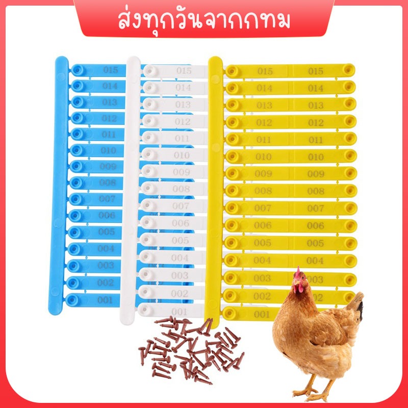 กิ๊ฟติดปีกไก่ บัตรประจำตัวไก่ ปีกไก่ นก นกกระทา นกพิราบ เป็ด ห่าน ปีกไก่