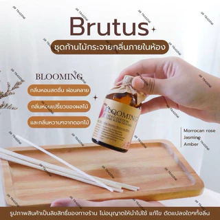 Brutus ก้านไม้หอมปรับอากาศ ขนาด 50ML. 100ML.