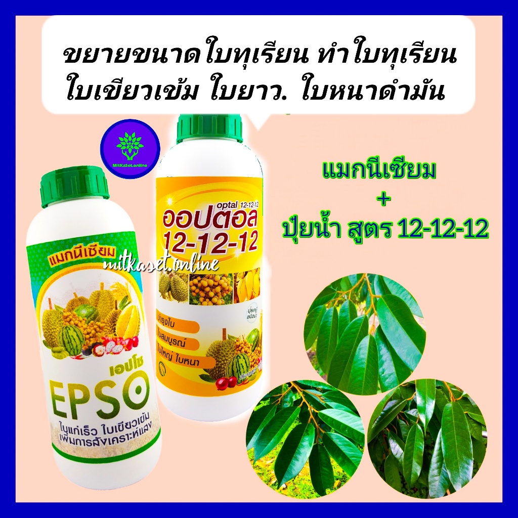 ขยายขนาดใบทุเรียน ทำใบทุเรียน อาหารเสริมทุเรียน แมกนีเซียม (เอปโซ)1ลิตร+ปุ๋ยน้ำออปตอล สูตร12-12-12 ขนาด1ลิตร ใบเขียวเข้ม