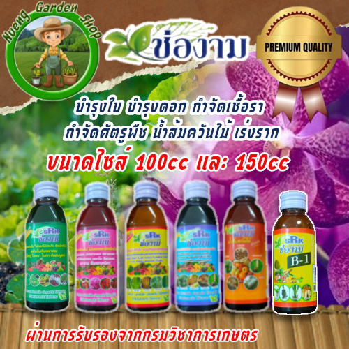 ช่องาม ปุ๋ยน้ำ บำรุงใบ บำรุงดอก กำจัดเชื้อรา กำจัดศัตรูพืช น้ำส้มควันไม้ B-1 ปุ๋ยไม้ดอกไม้ประดับ