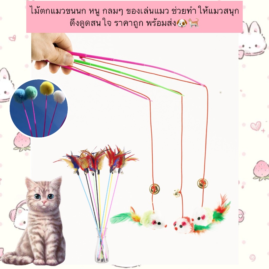PP-593 ไม้ตกแมวขนนก ของเล่นแมว ช่วยให้น้องแมวสนุก ดึงดูดความสนใจ ราคาถูก พร้อมส่ง 🐶🐈