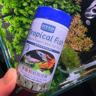 Tropical Fish ไส้เดือนน้ำ อาหารปลาสวยงาม