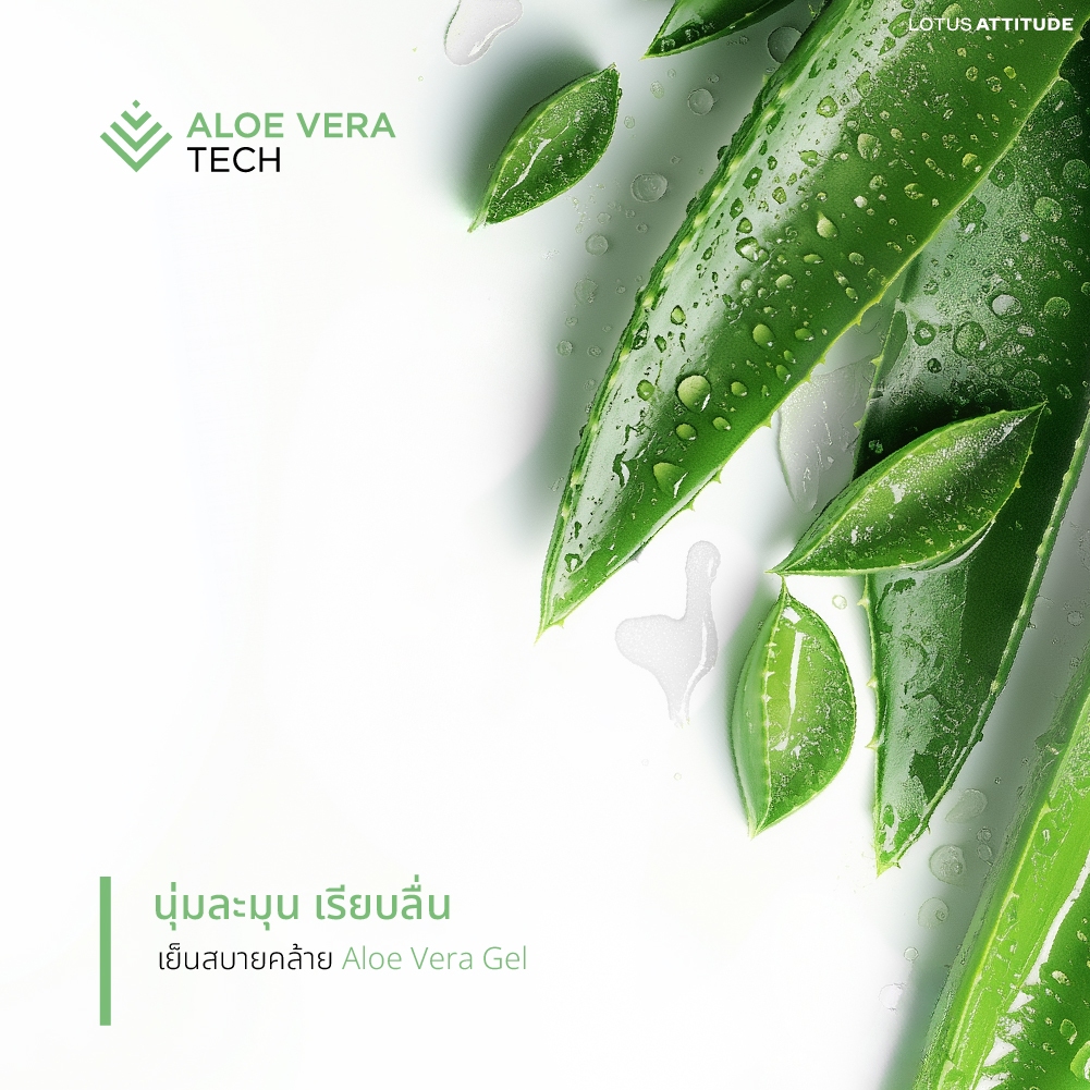 ชุดผ้าปูที่นอน + ผ้านวม LOTUS ATTITUDE รุ่น NORDEN ELEMENTS นวัตกรรม ICETECH Technology (รุ่นนี้เนื้อผ้ามีลาย) - รูปที่ 3