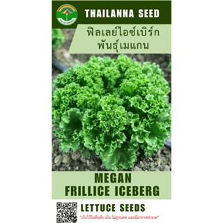เมล็ดพันธุ์ผักสลัด ฟิลเลย์ไอซ์เบิร์ก พันธุ์เมแกน ( ขนาด 0.25…