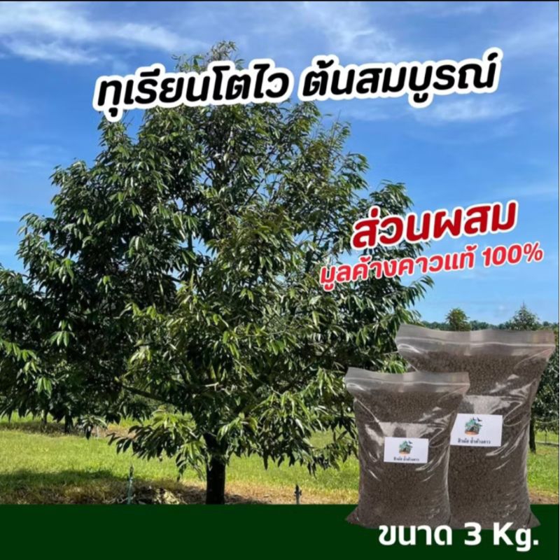 ปุ๋ยสูตรเด็ดปุ๋ยทุเรียนเล็ก ฮิวมัสมูลค้างคาว ช่วยปลดปล่อยธาตุอาหารที่สำคัญต่อการเติบโตของพืชลดต้นทุนในการใช้ปุ๋ยชนิดอื่น