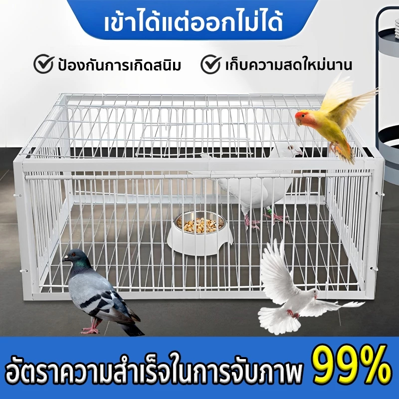 เพนียดดักนก กรงดักนก กรงกับดักนกพิราบ กรกดักนกเขา กรงดักแมว เหมาะสำหรับจับตัวเงินตัวทอง แมว สุนัข กระต่าย และสัตว์อื่นๆ