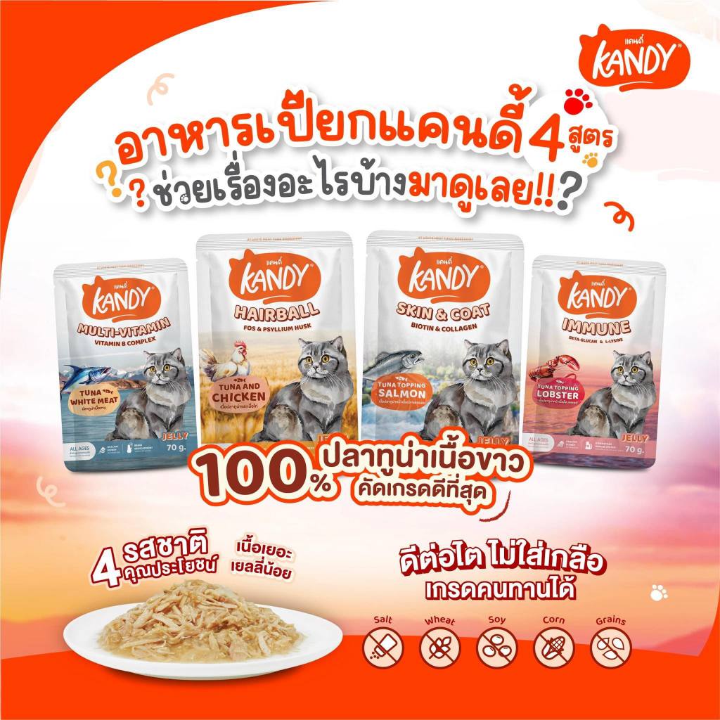 (12 ซอง) Kandy อาหารเปียกแมว สำหรับลูกแมว และแมวโต ตั้งแต่ 2 เดือนขึ้นไป ไม่ใส่เกลือ ขนาด 70 กรัม Kandy (12 ซอง)
