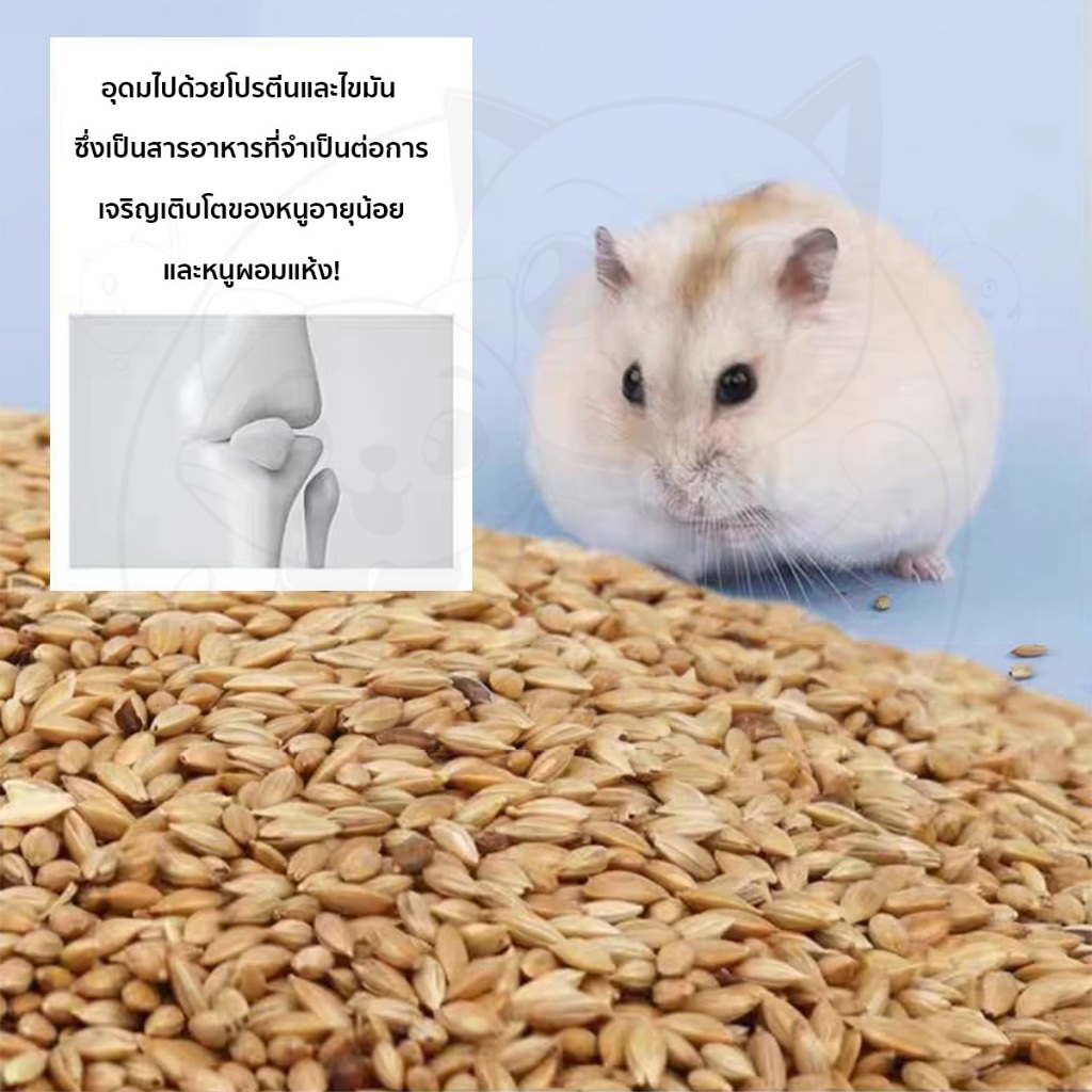 QQPET อาหารหนูแฮมเตอร์ ฉันชอบมันมากอร่อยมาก รูปที่ 6