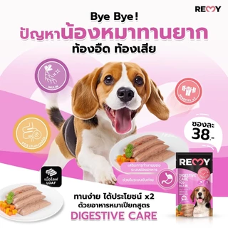REMY เรมี่ อาหารเปียกสุนัข โลฟไก่หน้าแครอทและฟักทอง 1 ลัง 48 ซอง