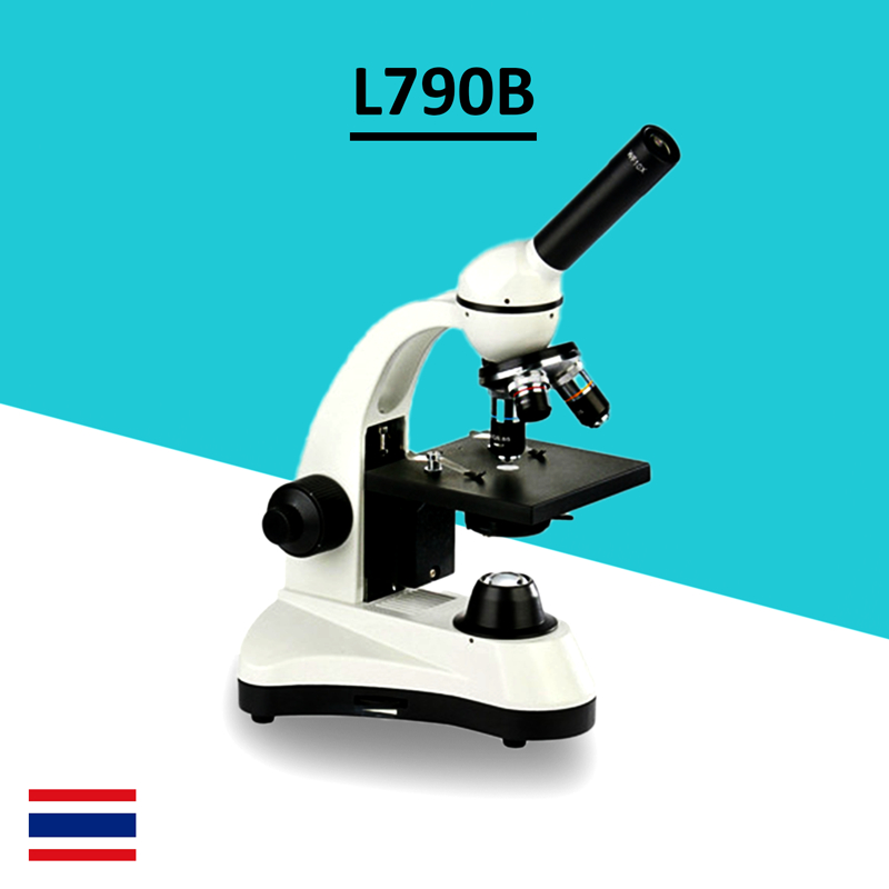 กล้องจุลทรรศน์ตาเดียว L-790B