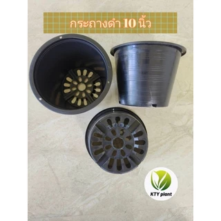 กระถางดำ กระถางต้นไม้ กระถางพลาสติก ขนาด2.5", 3",4",5",6",8",10"