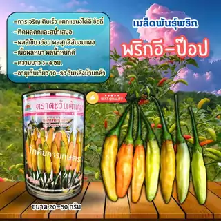เมล็ดพันธุ์พริกกะเหรี่ยงคัดพิเศษ อีป็อป (ตะวันต้นกล้า) ขนาด 20-50 กรัม