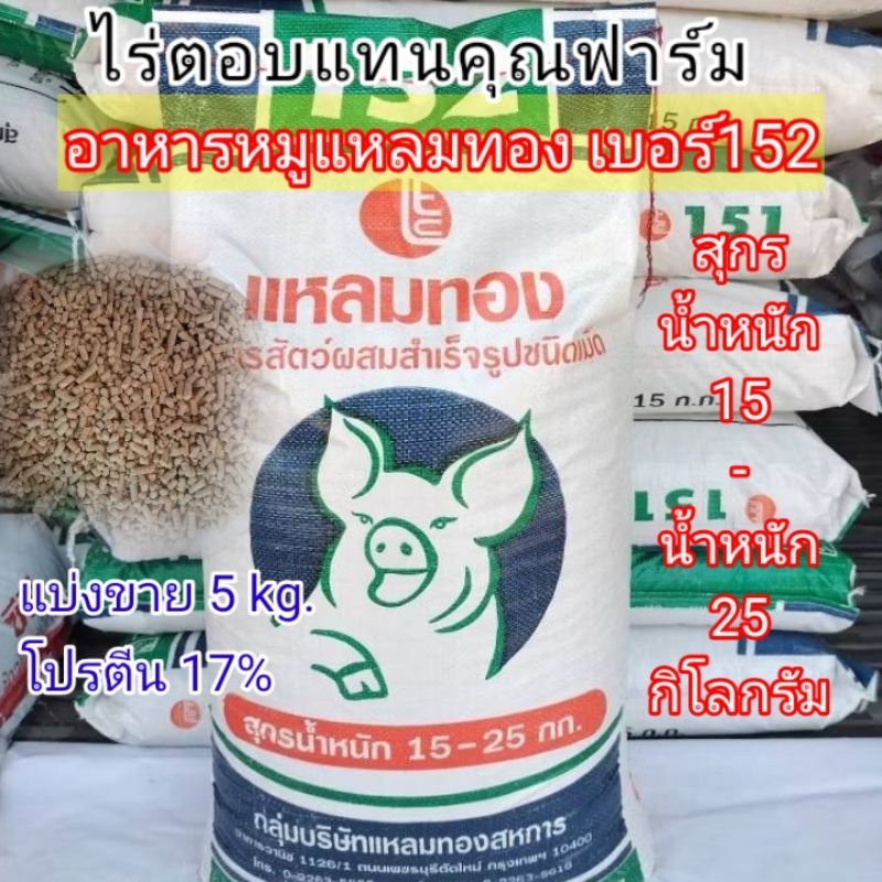 #อาหารสุกรแหลมทอง152 #อาหารหมูแหลมทอง #อาหารสุกร #แหลมทอง152 #ไร่ตอบแทนคุณฟาร์ม