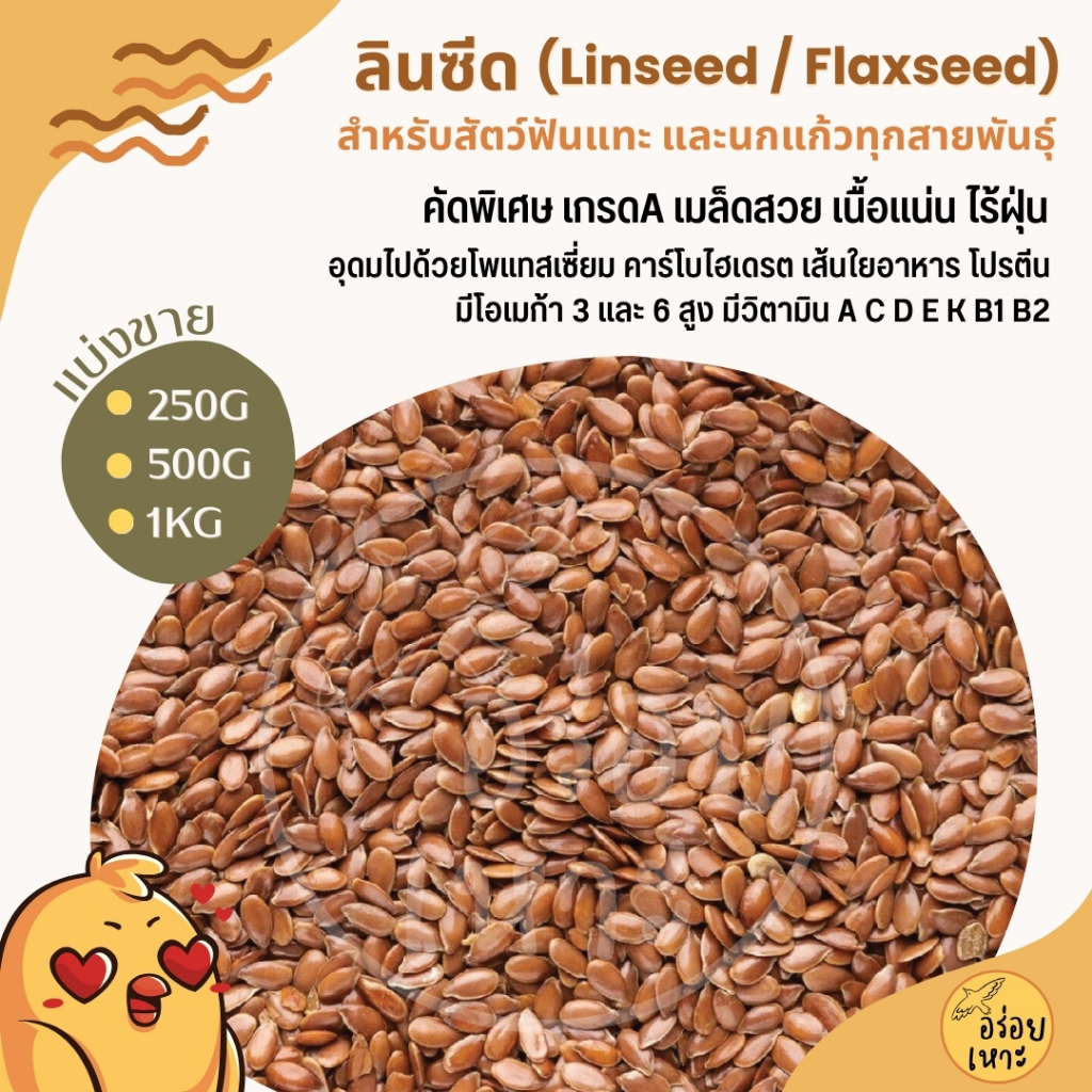ลินซีด (Linseed / Flaxseed) อาหารนกแก้วทุกชนิด และสัตว์ฟันแทะ (แบ่งขาย 250G / 500G / 1KG)