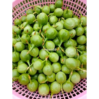 ต้นพันธุ์ผักสาบ/ผักอีนูนสายพันธุ์ทวาย100%