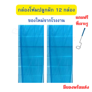กล่องโฟมปลูกผัก 12 กล่อง ขนาด 24 ลิตร กล่องกุ้ง ของใหม่จากโรงงาน มีของพร้อมส่ง