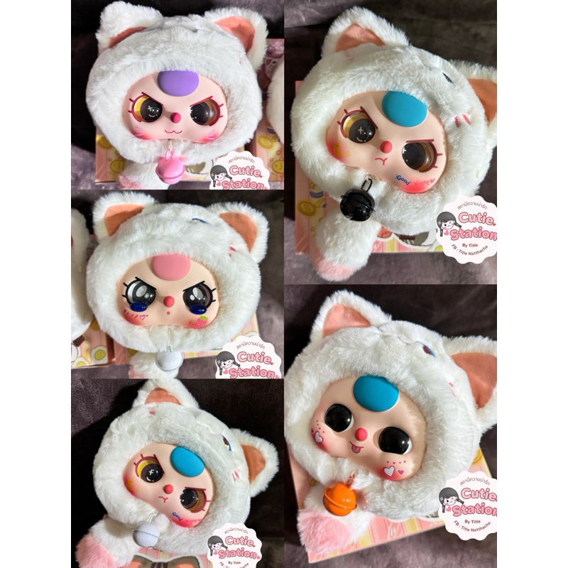 BBT Lucky Cat น้องแมวขาวมณี แบบเช็คตัว