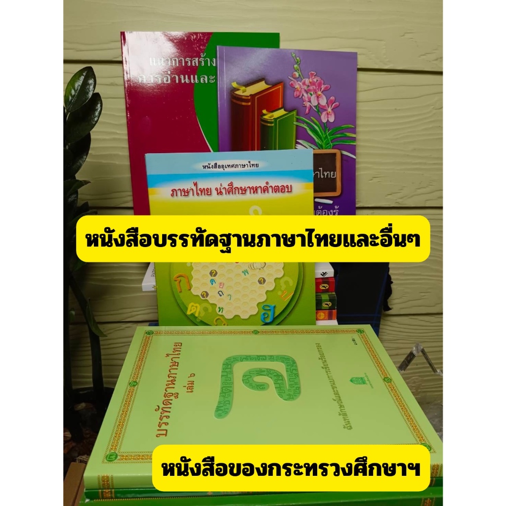 (มือ1) บรรทัดฐานภาษาไทย เล่ม 1-2-5-6(ล.3-4ไม่มี) และ หนังสือที่ครูภาษาไทยควรมีเพื่อสอนภาษาไทย #หนังสือหายาก #ร้านแมวแว่น