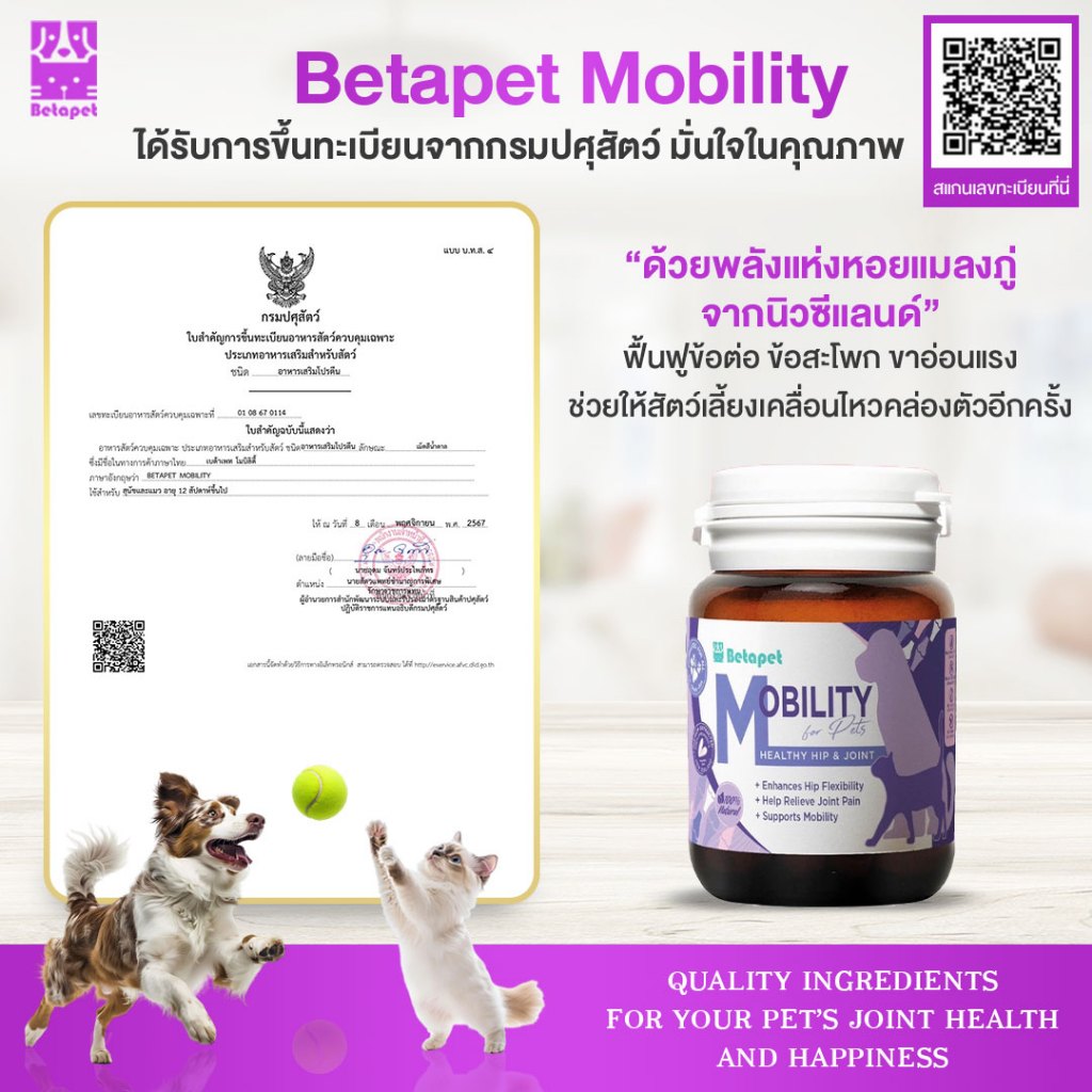 BETAPET อาหารเสริมบำรุงข้อสำหรับสุนัขและแมว ลดความเจ็บปวดในการลุก เดิน นั่ง ขาอ่อนแรง รูปที่ 7