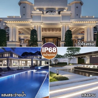 เข็มขัดโคมไฟสระว่ายน้ำ COB ไฟสระว่ายน้ำ DC 24V ไฟเส้นled ไฟเส้นตัดได้ IP68กันน้ำ Swimming Pool Light Strip แสงกลางแจ้ง